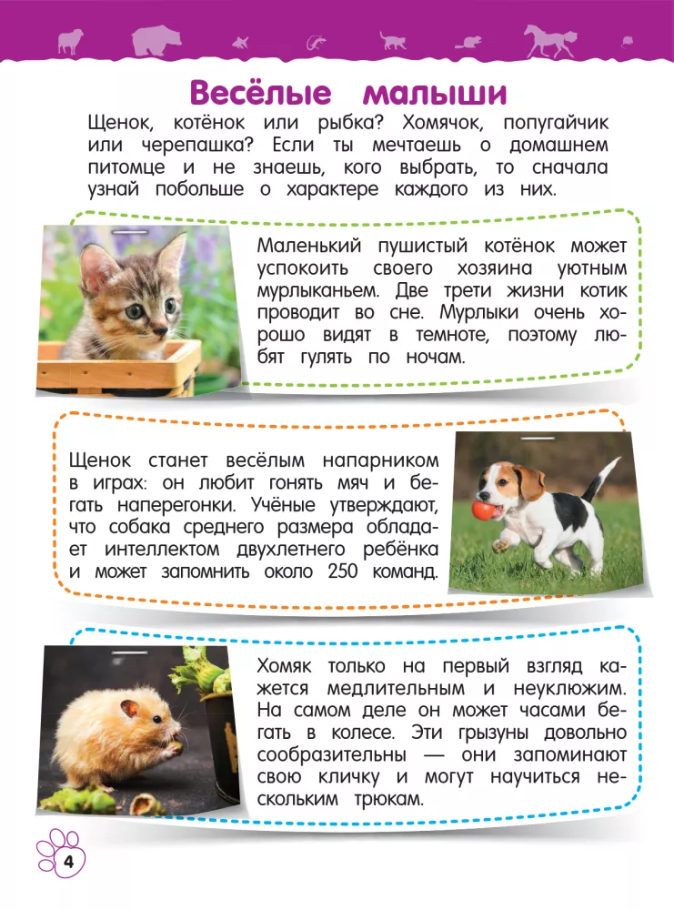 Домашние животные — фото 4