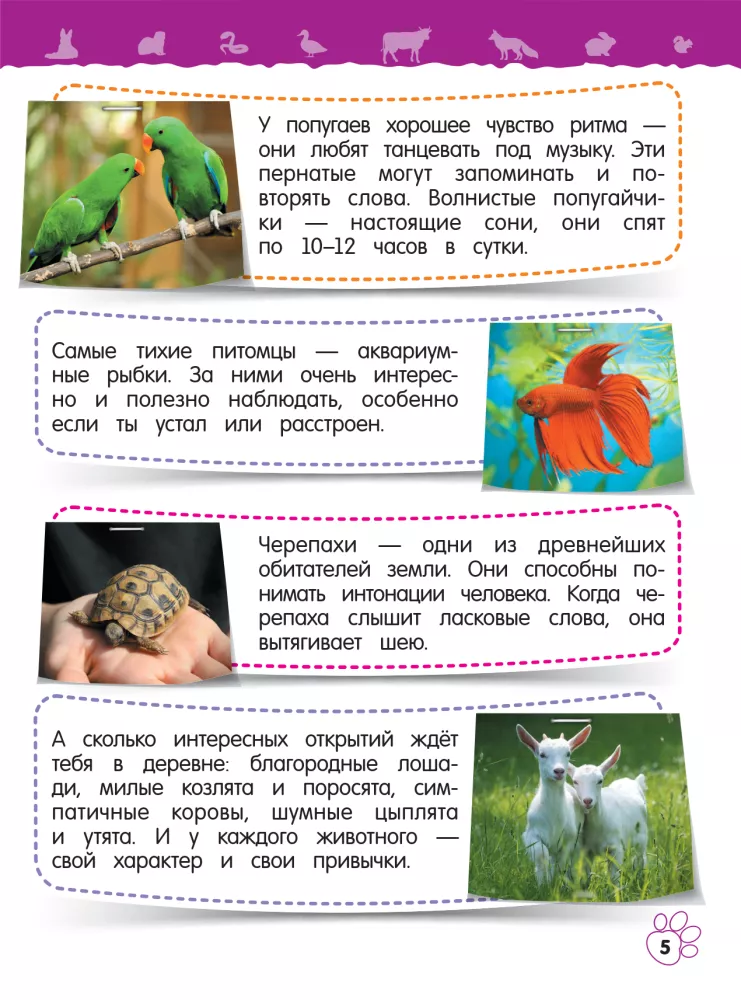 Домашние животные — фото 5