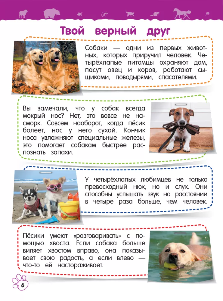 Домашние животные — фото 6