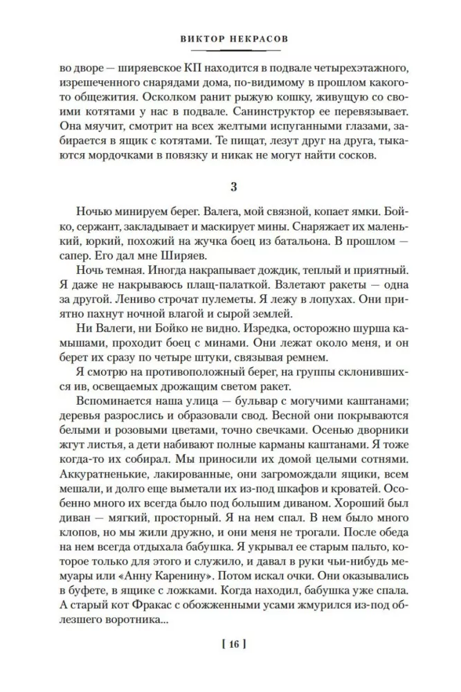 Stalingrado tranšėjose. Pasakojimai, istorijos — nuotrauka 12
