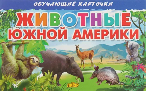Lernkarten. Tiere Südamerikas