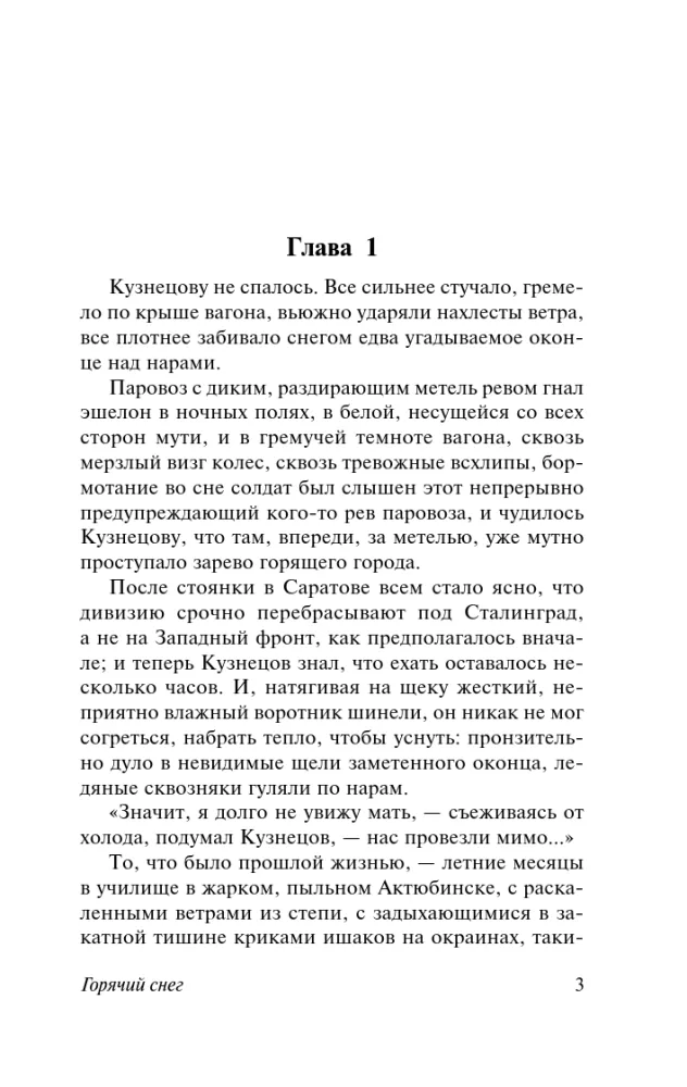 Karštas sniegas — nuotrauka 3