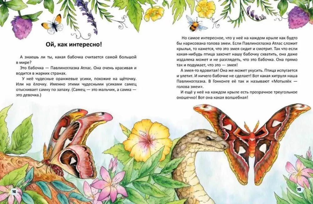 Motyl Alina i bańki mydlane — zdjęcie 2