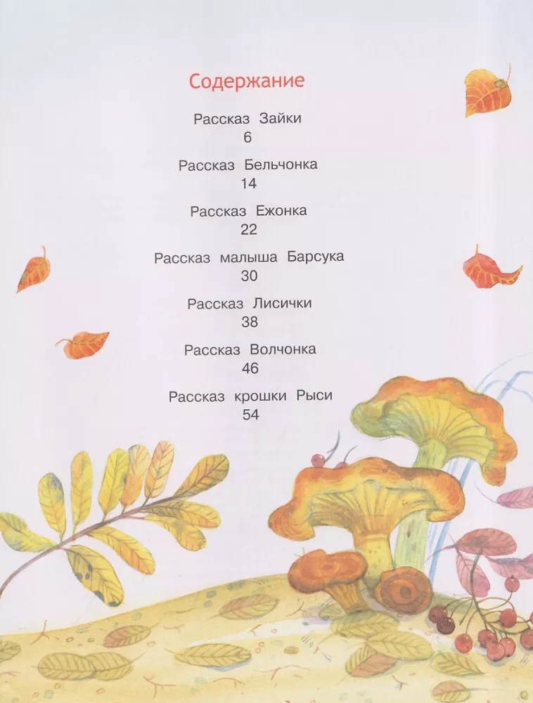 Bajki rodzinne — zdjęcie 3