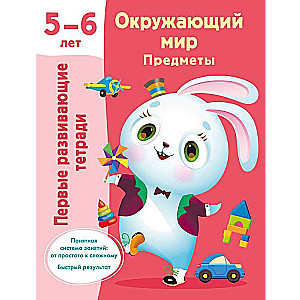 The Surrounding World. Objects. 5-6 years