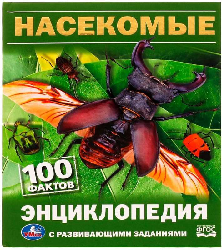 Owady. 100 faktów. Encyklopedia z zadaniami rozwojowymi