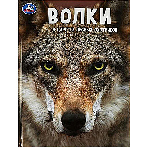 Wilki. W królestwie leśnych myśliwych. Encyklopedia z zadaniami rozwojowymi