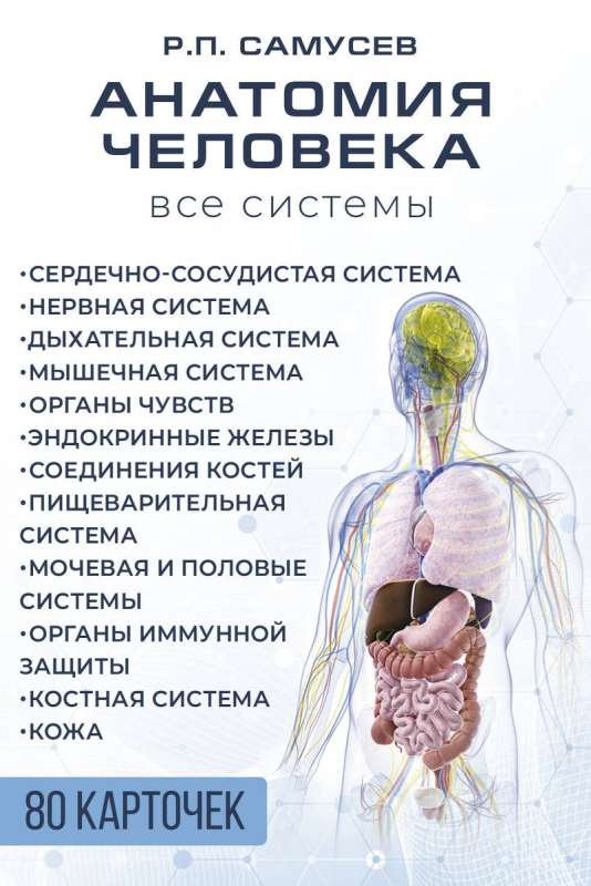 Human Anatomy. 80 Cards. All Systems