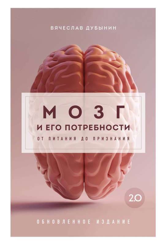 The Brain and Its Needs 2.0. From Nutrition to Recognition