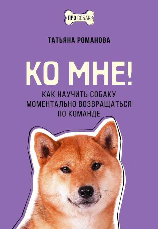 Do mnie! Jak nauczyć psa natychmiastowego powrotu na komendę