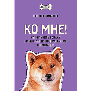 Do mnie! Jak nauczyć psa natychmiastowego powrotu na komendę