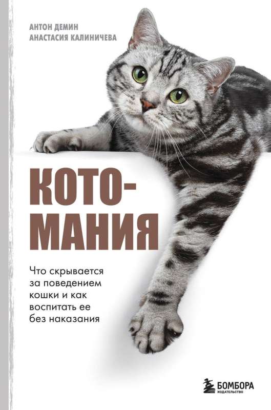 Kotomaniya. Co kryje się za zachowaniem kota i jak wychować go bez karania