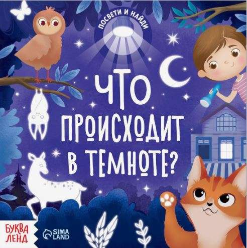 Książka z latarką Co się dzieje w ciemności?