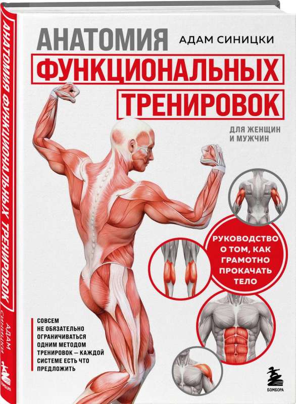 Anatomy of Functional Training. A Guide on How to Properly Train the Body