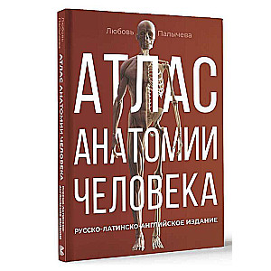 Atlas of Human Anatomy. Russian-Latin-English Edition