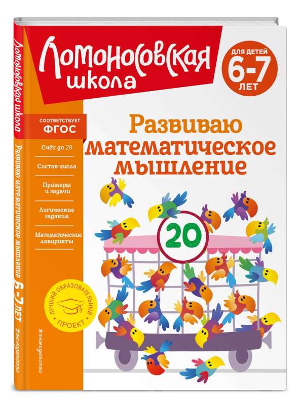 Developing Mathematical Thinking: For Children Aged 6-7