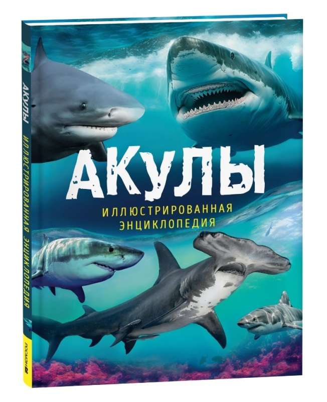 Rekiny. Ilustrowana encyklopedia