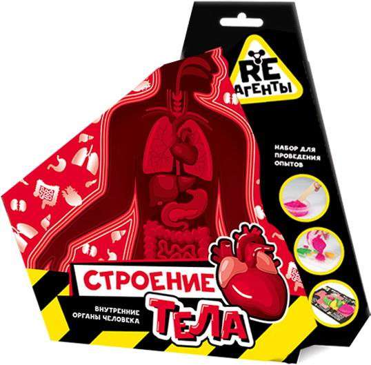 Experiment Kit - Re-Agents. The Structure of the Body