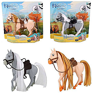 Horse - Horse culture, mix