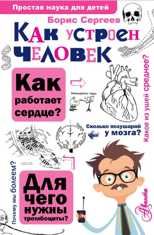 How the Human Body Is Organized