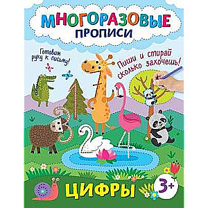 Цифры. Пиши и стирай сколько захочешь!