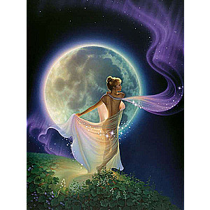 Diamond Mosaic 30x40 cm Moon Fairy, 26 colors, level 4