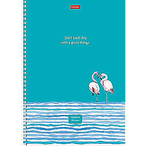 Notebook 80 sheets A4 Lined - Assorted