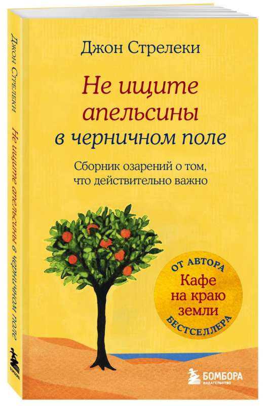 Don't Look for Oranges in a Blueberry Field. A Collection of Insights about What Really Matters