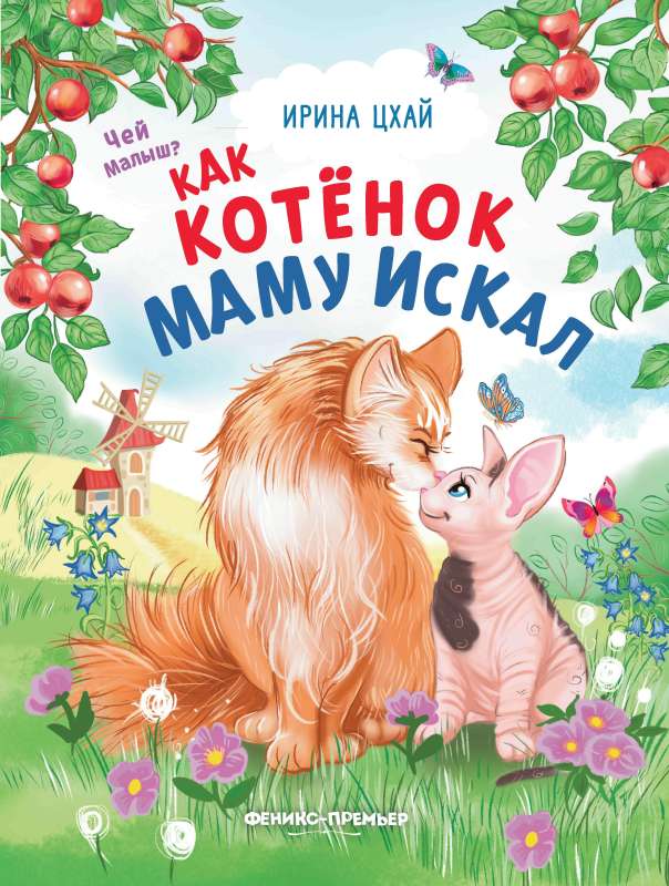How the Kitten Looked for Its Mom