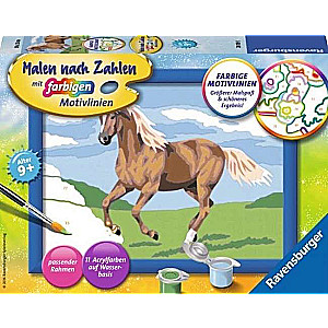 Number Painting 13X18cm Brown Horse