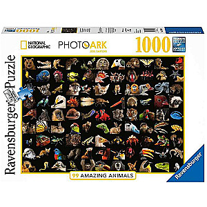 Puzzle 1000 Zachwycające Zwierzęta