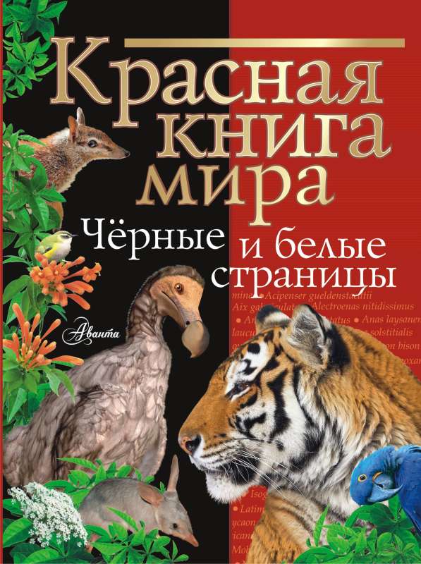 The Red Book of the World. Black and White Pages
