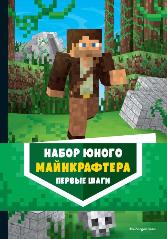 Set of a Young Minecrafter. First Steps