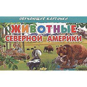 Mācību kartītes. Ziemeļamerikas dzīvnieki