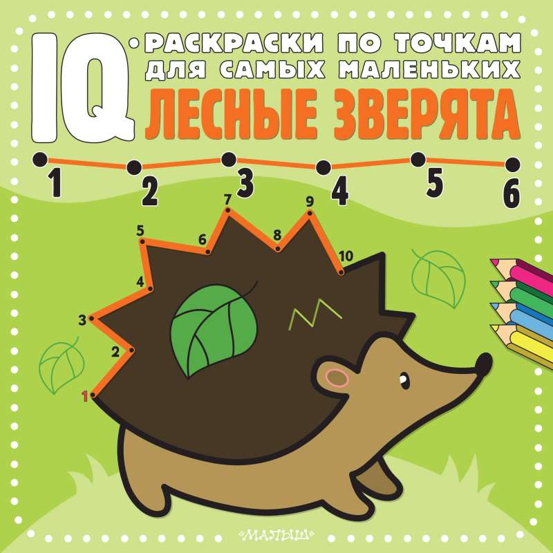 Forest Animals