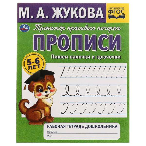 Copybooks. Writing sticks and hooks. 5-6 years. Workbook
