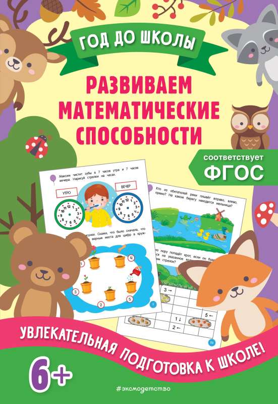 Developing Mathematical Abilities