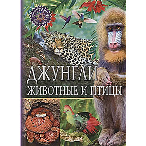 Jungles. Animals and Birds