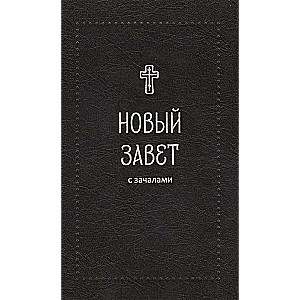 New Testament. With Beginnings Silver Series