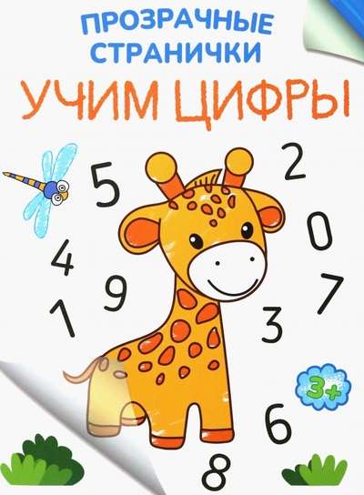 Learning Numbers