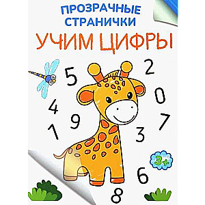 Learning Numbers