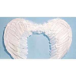Angel Wings 38x54cm, White Bird Feathers
