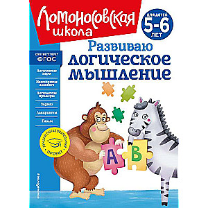 Developing Logical Thinking: For Children Aged 5-6 Years - New Design