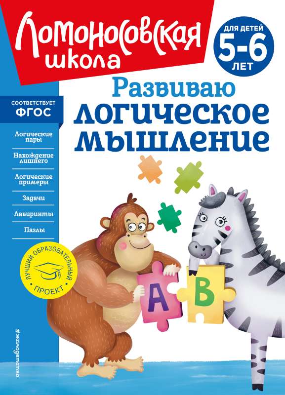 Developing Logical Thinking: For Children Aged 5-6 Years - New Design