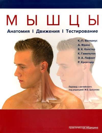 Muskuļi. Anatomija. Kustības. Testēšana.