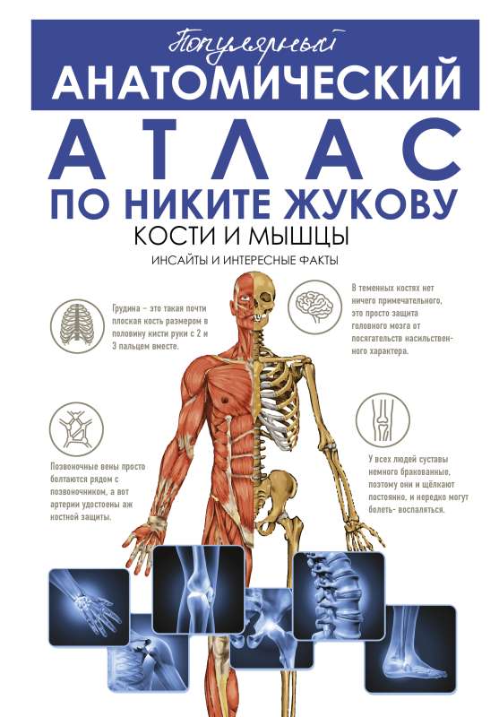 Popular Anatomical Atlas by Nikita Zhukov: Bones and Muscles. Insights and Interesting Facts