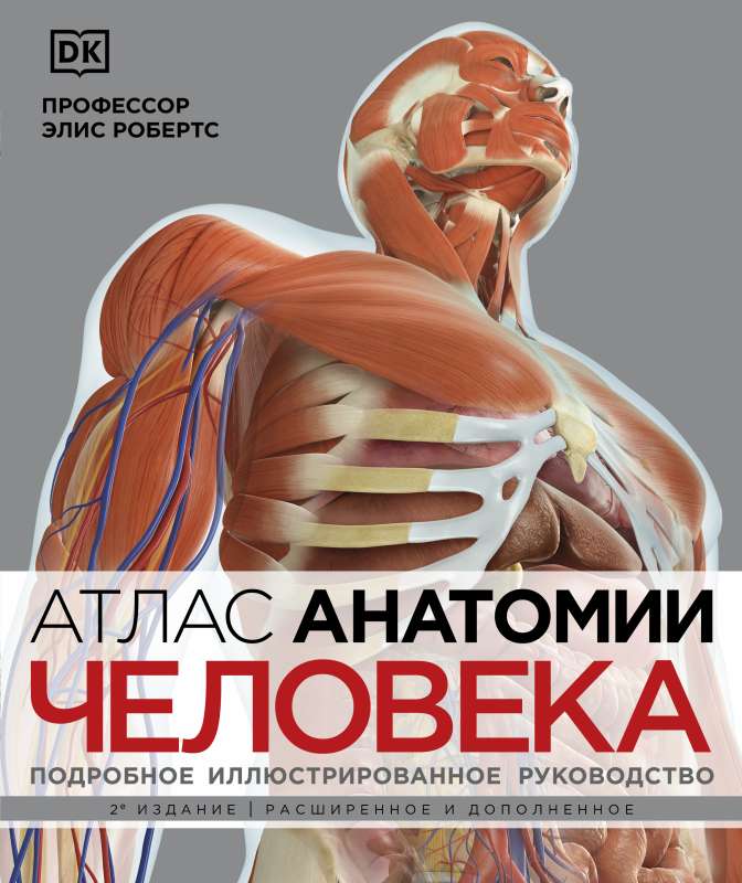 Atlas of Human Anatomy. Detailed Illustrated Guide