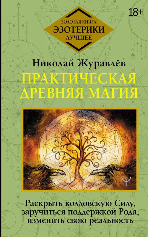 Practical Ancient Magic. Unleash the Witchcraft Power, Gain the Support of Your Ancestors, Change Your Reality