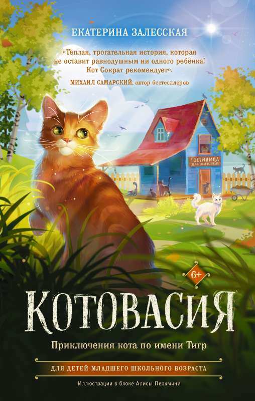 Catdom. The Adventures of a Cat Named Tiger