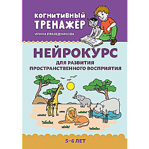 Neurocourse for the Development of Spatial Perception: 5-6 Years